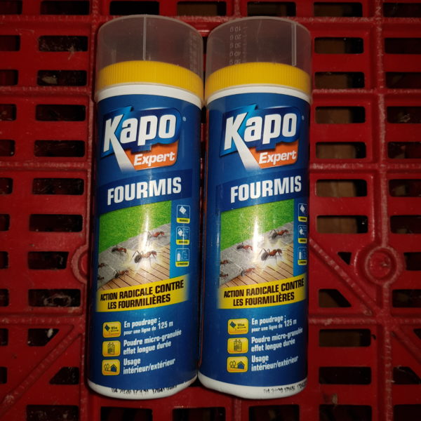 Antifourmis poudre KAPO expert