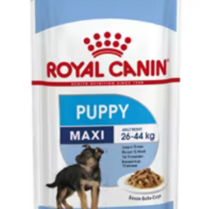Royal Canin Maxi Puppy/ Junior pour chiot